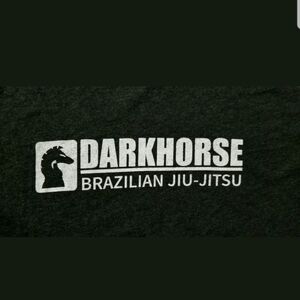 Next Level Apparel Darkhorse Women's Tees Size L